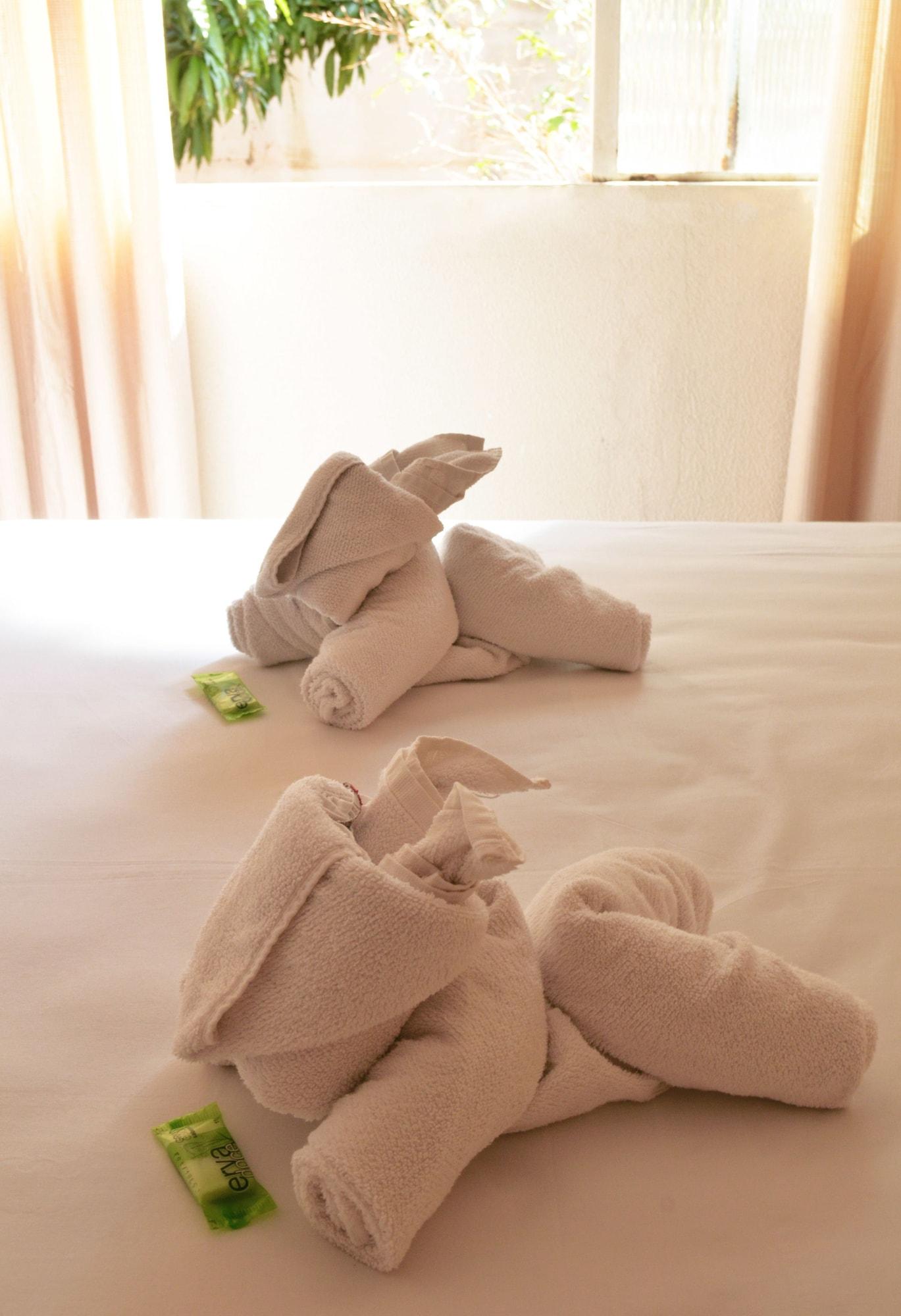 Iguacu Plaza Hotel Foz do Iguacu Ngoại thất bức ảnh